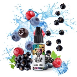 Arôme Marine Cloud 10ml de Jungle Wave